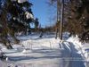 Nazwa pliku=Luty_2012_030.jpg
Wielkość pliku=101KiB
Rozmiar=800x600
Data dodania= 22, Luty 2012 Luty_2012_030.jpg
