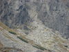 Nazwa pliku=dsc07204.jpg
Wielkość pliku=139KiB
Rozmiar=800x600
Data dodania= 13, Wrzesień 2009 dsc07204.jpg