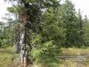 Nazwa pliku=Beskid_Zywiec_2013_05DSC02766.jpg
Wielkość pliku=153KiB
Rozmiar=800x600
Data dodania= 06, Maj 2013 Beskid_Zywiec_2013_05DSC02766.jpg