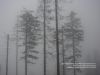 Nazwa pliku=Beskid_Zywiec_2013_05DSC02814.jpg
Wielkość pliku=52KiB
Rozmiar=800x600
Data dodania= 06, Maj 2013 Beskid_Zywiec_2013_05DSC02814.jpg