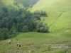 Beskid_Zywiec_2013_05DSC03188.jpg