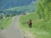 Beskid_Zywiec_2013_05DSC03244.jpg