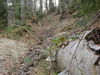 Nazwa pliku=DSC05982.JPG
Wielkość pliku=178KiB
Rozmiar=800x600
Data dodania= 20, Wrzesień 2009 DSC05982.JPG