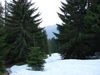 Nazwa pliku=DSC05988.JPG
Wielkość pliku=118KiB
Rozmiar=800x600
Data dodania= 20, Wrzesień 2009 DSC05988.JPG