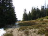 Nazwa pliku=DSC05990.JPG
Wielkość pliku=127KiB
Rozmiar=800x600
Data dodania= 20, Wrzesień 2009 DSC05990.JPG