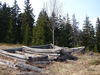 Nazwa pliku=DSC05995.JPG
Wielkość pliku=175KiB
Rozmiar=800x600
Data dodania= 20, Wrzesień 2009 DSC05995.JPG