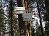 Nazwa pliku=DSC05998.JPG
Wielkość pliku=211KiB
Rozmiar=800x600
Data dodania= 20, Wrzesień 2009 DSC05998.JPG