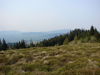 Nazwa pliku=DSC06015.JPG
Wielkość pliku=93KiB
Rozmiar=800x600
Data dodania= 20, Wrzesień 2009 DSC06015.JPG