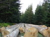 Nazwa pliku=DSC06018.JPG
Wielkość pliku=145KiB
Rozmiar=800x600
Data dodania= 20, Wrzesień 2009 DSC06018.JPG