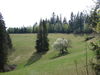 Nazwa pliku=DSC06043.JPG
Wielkość pliku=128KiB
Rozmiar=800x600
Data dodania= 20, Wrzesień 2009 DSC06043.JPG