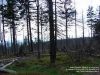 Nazwa pliku=Maj_01-04_2014DSC04755.jpg
Wielkość pliku=179KiB
Rozmiar=800x600
Data dodania= 06, Maj 2014 Maj_01-04_2014DSC04755.jpg