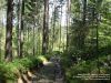 Nazwa pliku=Maj_01-04_2014DSC04882.jpg
Wielkość pliku=200KiB
Rozmiar=800x600
Data dodania= 06, Maj 2014 Maj_01-04_2014DSC04882.jpg