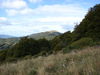 Nazwa pliku=dsc07412.jpg
Wielkość pliku=563KiB
Rozmiar=2048x1536
Data dodania= 06, Październik 2009 dsc07412.jpg