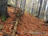 Nazwa pliku=_DSC05920.jpg
Wielkość pliku=258KiB
Rozmiar=873x655
Data dodania= 20, Październik 2014 _DSC05920.jpg