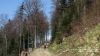 Nazwa pliku=Jasliski_komanczaIMG_0025.jpg
Wielkość pliku=140KiB
Rozmiar=864x486
Data dodania= 14, Maj 2015 Jasliski_komanczaIMG_0025.jpg