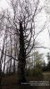 Nazwa pliku=Jasliski_komanczaIMG_9897.jpg
Wielkość pliku=158KiB
Rozmiar=486x864
Data dodania= 14, Maj 2015 Jasliski_komanczaIMG_9897.jpg