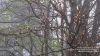 Nazwa pliku=Jasliski_komanczaIMG_9937.jpg
Wielkość pliku=133KiB
Rozmiar=864x486
Data dodania= 14, Maj 2015 Jasliski_komanczaIMG_9937.jpg