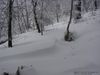 Nazwa pliku=IS_Image066.jpg
Wielkość pliku=246KiB
Rozmiar=1024x768
Data dodania= 03, Styczeń 2010 IS_Image066.jpg