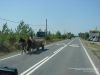 Nazwa pliku=1_dsc07393.jpg
Wielkość pliku=206KiB
Rozmiar=1126x845
Data dodania= 10, Sierpień 2015 1_dsc07393.jpg