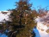 Nazwa pliku=dsc07671.jpg
Wielkość pliku=1031KiB
Rozmiar=1352x1014
Data dodania= 07, Styczeń 2016 dsc07671.jpg