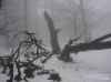 Nazwa pliku=r_2016dsc07815.jpg
Wielkość pliku=313KiB
Rozmiar=1183x887
Data dodania= 21, Luty 2016 r_2016dsc07815.jpg