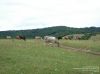 Nazwa pliku=d_dsc08811.jpg
Wielkość pliku=190KiB
Rozmiar=1183x887
Data dodania= 06, Lipiec 2016 d_dsc08811.jpg