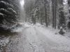Nazwa pliku=a_dsc00049.jpg
Wielkość pliku=379KiB
Rozmiar=1183x887
Data dodania= 14, Listopad 2016 a_dsc00049.jpg