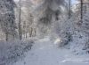 Nazwa pliku=a_dsc00086.jpg
Wielkość pliku=456KiB
Rozmiar=1183x887
Data dodania= 14, Listopad 2016 a_dsc00086.jpg