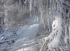 Nazwa pliku=a_dsc00087.jpg
Wielkość pliku=361KiB
Rozmiar=1183x887
Data dodania= 14, Listopad 2016 a_dsc00087.jpg