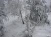 Nazwa pliku=a_dsc00137.jpg
Wielkość pliku=308KiB
Rozmiar=1183x887
Data dodania= 14, Listopad 2016 a_dsc00137.jpg