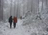Nazwa pliku=a_dsc00146.jpg
Wielkość pliku=353KiB
Rozmiar=1183x887
Data dodania= 14, Listopad 2016 a_dsc00146.jpg