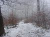 Nazwa pliku=a_dsc00151.jpg
Wielkość pliku=476KiB
Rozmiar=1183x887
Data dodania= 14, Listopad 2016 a_dsc00151.jpg