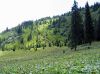 Nazwa pliku=n_img_2045.jpg
Wielkość pliku=883KiB
Rozmiar=1089x816
Data dodania= 08, Sierpień 2017 n_img_2045.jpg