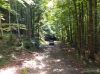 Nazwa pliku=IS_IMG_20190712_101541067_28Kopiowanie29.jpg
Wielkość pliku=978KiB
Rozmiar=1498x1123
Data dodania= 05, Październik 2019 IS_IMG_20190712_101541067_28Kopiowanie29.jpg