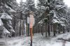Nazwa pliku=IS_DSC01144.jpg
Wielkość pliku=1082KiB
Rozmiar=1555x1037
Data dodania= 12, Listopad 2019 IS_DSC01144.jpg