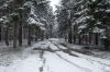 Nazwa pliku=IS_DSC01145.jpg
Wielkość pliku=889KiB
Rozmiar=1555x1037
Data dodania= 12, Listopad 2019 IS_DSC01145.jpg