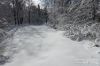 Nazwa pliku=IS_DSC01276.jpg
Wielkość pliku=424KiB
Rozmiar=1166x777
Data dodania= 20, Luty 2020 IS_DSC01276.jpg