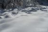 Nazwa pliku=IS_DSC01296.jpg
Wielkość pliku=377KiB
Rozmiar=1166x777
Data dodania= 20, Luty 2020 IS_DSC01296.jpg