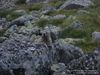 Nazwa pliku=_Tatry_800_600042.jpg
Wielkość pliku=208KiB
Rozmiar=800x600
Data dodania= 04, Sierpień 2010 _Tatry_800_600042.jpg