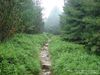 Nazwa pliku=_Tatry_800_600075.jpg
Wielkość pliku=290KiB
Rozmiar=800x600
Data dodania= 04, Sierpień 2010 _Tatry_800_600075.jpg