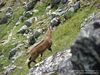 Nazwa pliku=_Tatry_800_600301.jpg
Wielkość pliku=281KiB
Rozmiar=800x600
Data dodania= 04, Sierpień 2010 _Tatry_800_600301.jpg