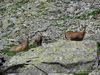 Nazwa pliku=_Tatry_800_600411.jpg
Wielkość pliku=299KiB
Rozmiar=800x600
Data dodania= 04, Sierpień 2010 _Tatry_800_600411.jpg