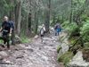Nazwa pliku=_Tatry_800_600462.jpg
Wielkość pliku=318KiB
Rozmiar=800x600
Data dodania= 04, Sierpień 2010 _Tatry_800_600462.jpg