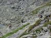 Nazwa pliku=_Tatry_800_600513.jpg
Wielkość pliku=302KiB
Rozmiar=800x600
Data dodania= 04, Sierpień 2010 _Tatry_800_600513.jpg