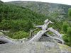 Nazwa pliku=_Tatry_800_600574.jpg
Wielkość pliku=290KiB
Rozmiar=800x600
Data dodania= 04, Sierpień 2010 _Tatry_800_600574.jpg