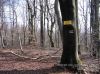 Nazwa pliku=Beskid_Niski_Glayszow_Banica_Bartne_IMG_1389.jpg
Wielkość pliku=379KiB
Rozmiar=907x680
Data dodania= 24, Kwiecień 2017 Beskid_Niski_Glayszow_Banica_Bartne_IMG_1389.jpg