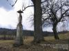 Nazwa pliku=Beskid_Niski_Glayszow_Banica_Bartne_IMG_1396.jpg
Wielkość pliku=262KiB
Rozmiar=907x680
Data dodania= 24, Kwiecień 2017 Beskid_Niski_Glayszow_Banica_Bartne_IMG_1396.jpg