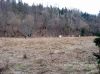 Nazwa pliku=Beskid_Niski_Glayszow_Banica_Bartne_IMG_1406.jpg
Wielkość pliku=335KiB
Rozmiar=907x680
Data dodania= 24, Kwiecień 2017 Beskid_Niski_Glayszow_Banica_Bartne_IMG_1406.jpg