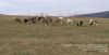 Nazwa pliku=Beskid_Niski_Glayszow_Banica_Bartne_IMG_1451.jpg
Wielkość pliku=142KiB
Rozmiar=902x463
Data dodania= 24, Kwiecień 2017 Beskid_Niski_Glayszow_Banica_Bartne_IMG_1451.jpg