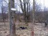 Nazwa pliku=Beskid_Niski_Glayszow_Banica_Bartne_IMG_1489.jpg
Wielkość pliku=368KiB
Rozmiar=907x680
Data dodania= 24, Kwiecień 2017 Beskid_Niski_Glayszow_Banica_Bartne_IMG_1489.jpg